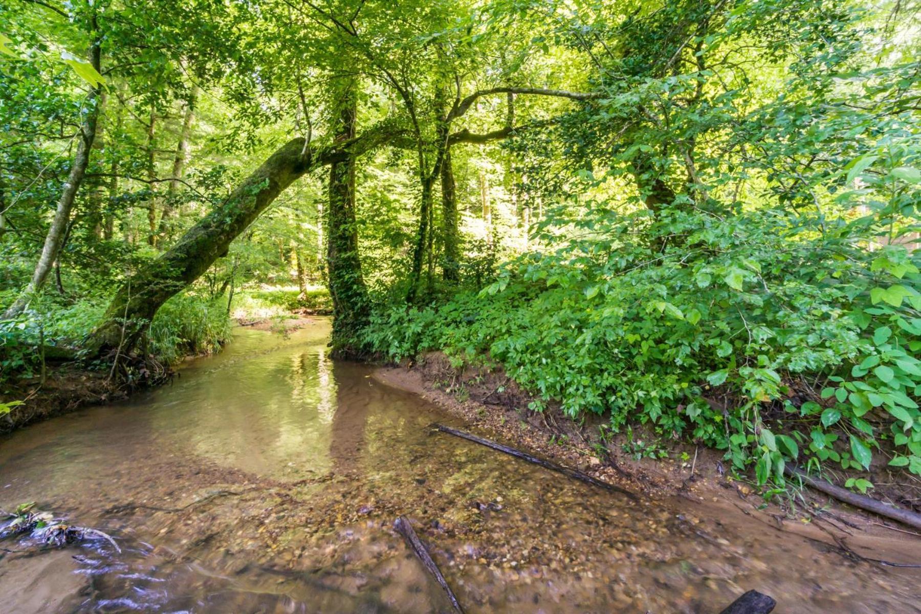 فيلا New Listing! Wine Country Retreat - 2 Bed, Hot Tub داهلونغا المظهر الخارجي الصورة